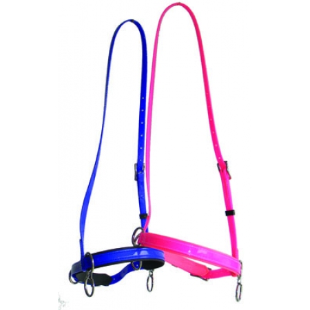 Cavesson Race Halter_1